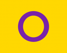 La Intersexualidad y su Bandera Amarilla y Morada
